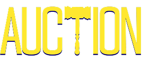 Auction